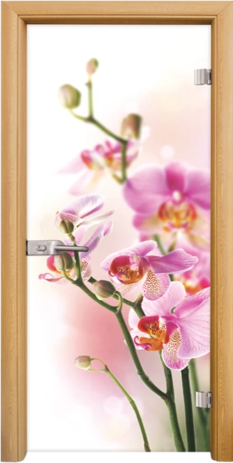 Стъклена интериорна врата модел Print G 13-2 с каса Светъл дъб