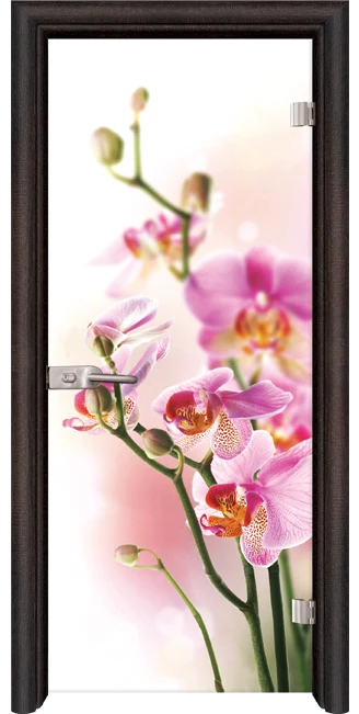 Стъклена интериорна врата модел Print G 13-2 с каса Венге