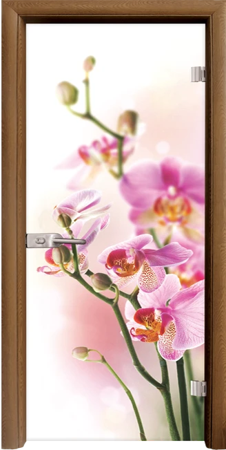 Стъклена интериорна врата модел Print G 13-2 с каса Златен дъб