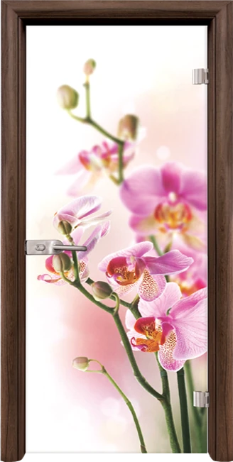 Стъклена интериорна врата модел Print G 13-2 с каса Орех