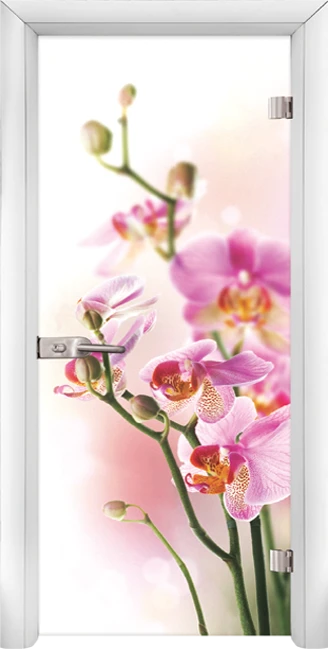 Стъклена интериорна врата модел Print G 13-2 с каса Бяла