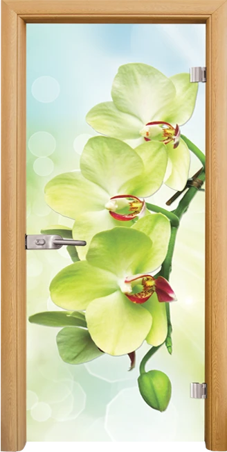 Стъклена интериорна врата модел Print G 13-3 с каса Светъл дъб