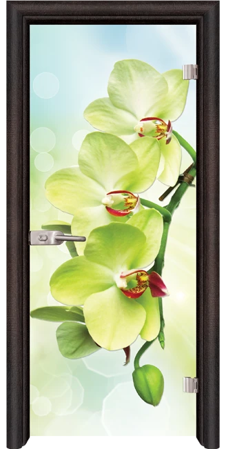 Стъклена интериорна врата модел Print G 13-3 с каса Венге