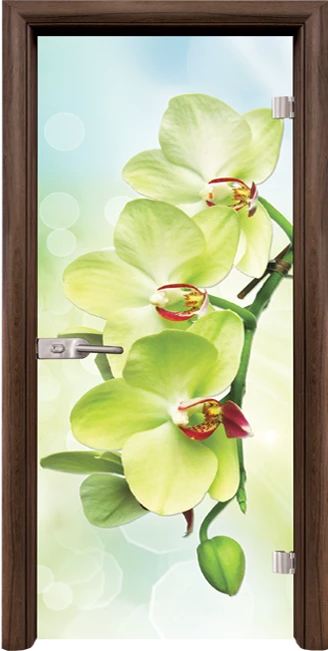 Стъклена интериорна врата модел Print G 13-3 с каса Орех