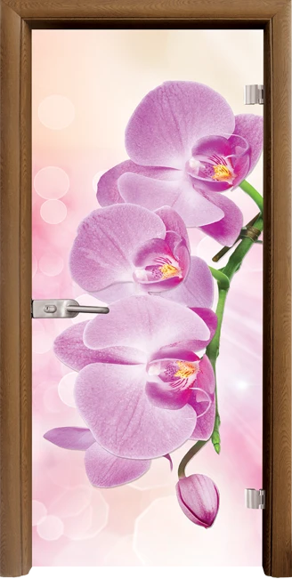 Стъклена интериорна врата модел Print G 13-3 Pink с каса Златен дъб