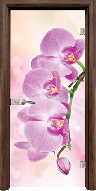 Стъклена интериорна врата модел Print G 13-3 Pink с каса Орех