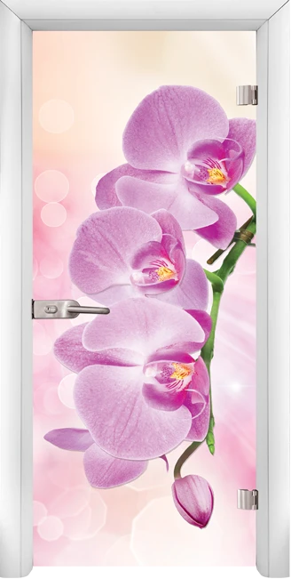 Стъклена интериорна врата модел Print G 13-3 Pink с каса Бяла