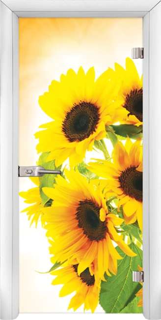 Стъклена интериорна врата модел Print G 13-4 с каса Бяла