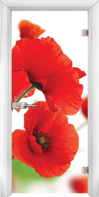 Стъклена интериорна врата модел Print G 13-8 с каса Бяла